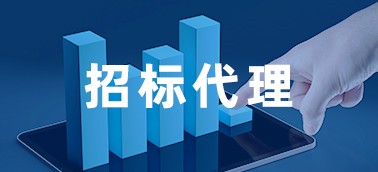 招標(biāo)代理業(yè)務(wù)管理系統(tǒng)
