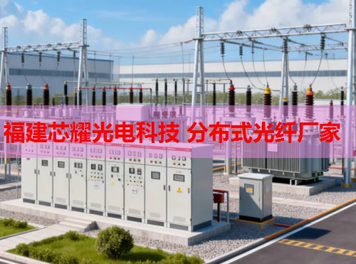 2026年套管外光纖監(jiān)測(cè)技術(shù)排行推薦