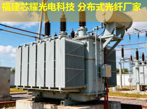 哪家是專業(yè)分布式光纖檢測設(shè)備生產(chǎn)廠家？國內(nèi)知名企業(yè)為您提供優(yōu)質(zhì)解決方案。